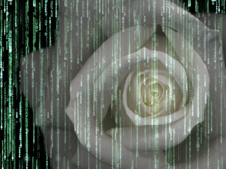 Matrix Rose