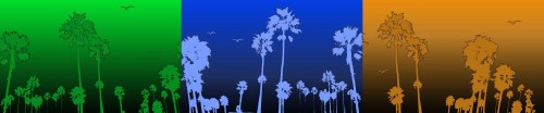 Beach Silhouette